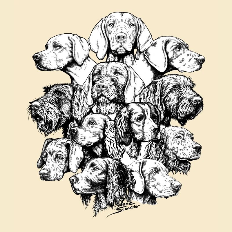 Wimmelbild Vorstehhunde
