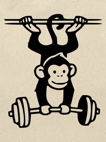 Primate Power - Gym Affe 