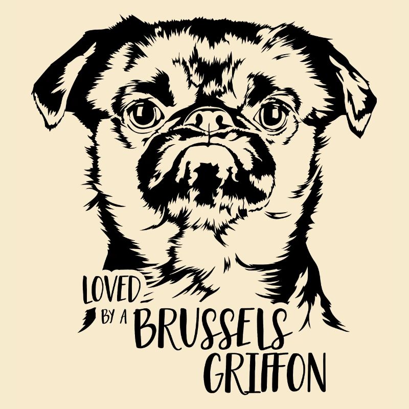 Loved by a Brussels Griffon Dogs Dwarf Griffon