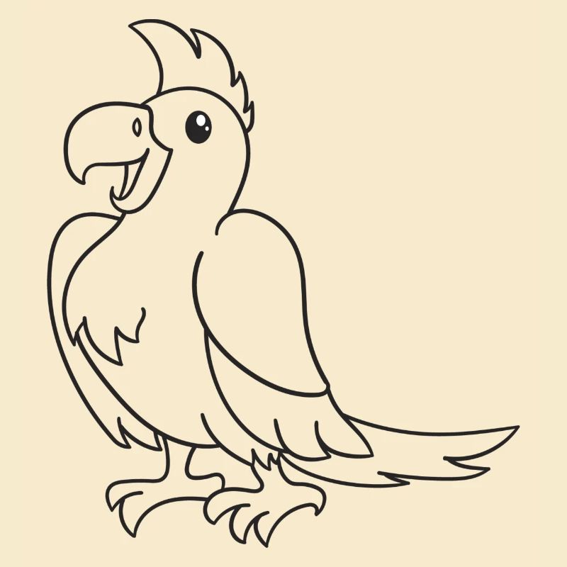 Parrot, bird, gift, gift idea