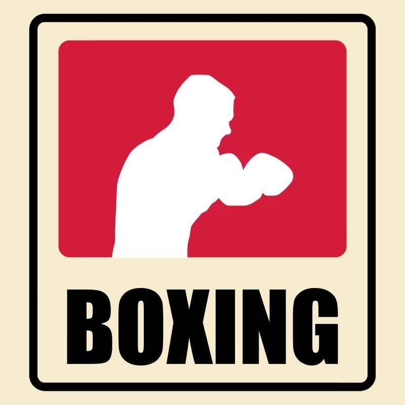Boxer - Boxing 🥊
