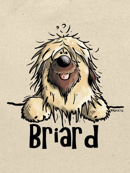 Funny Briard