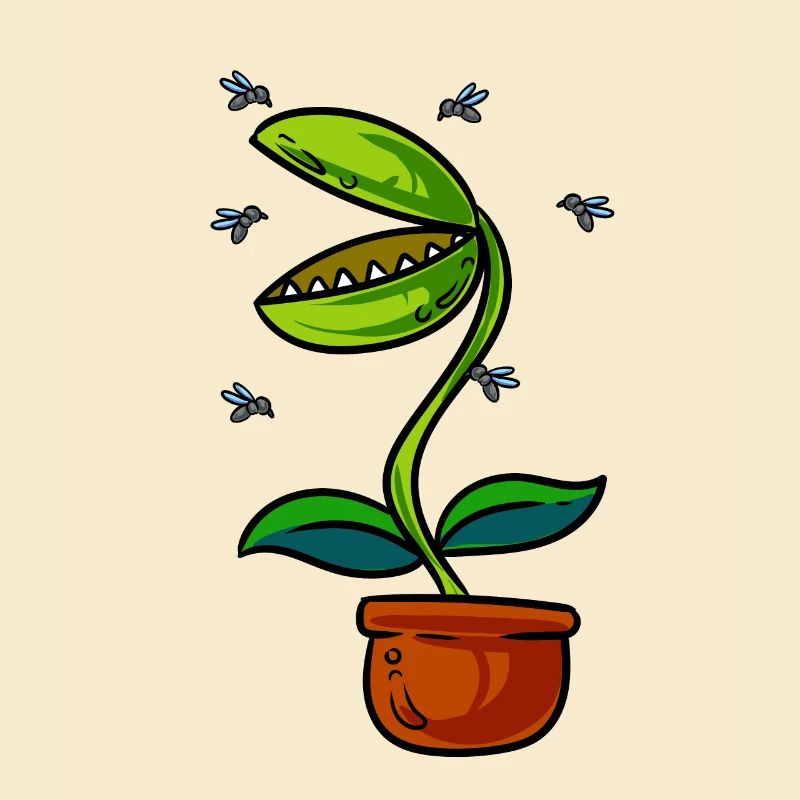 Venus Flytrap Plant