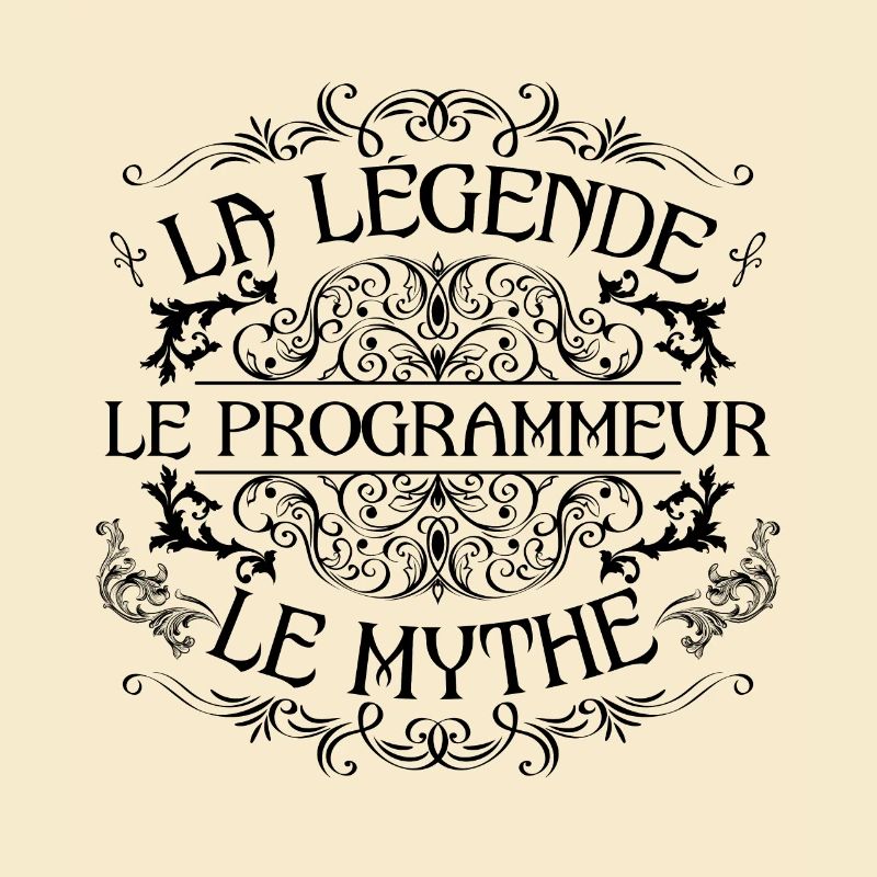 Programmeur | la légende Programmeur le mythe
