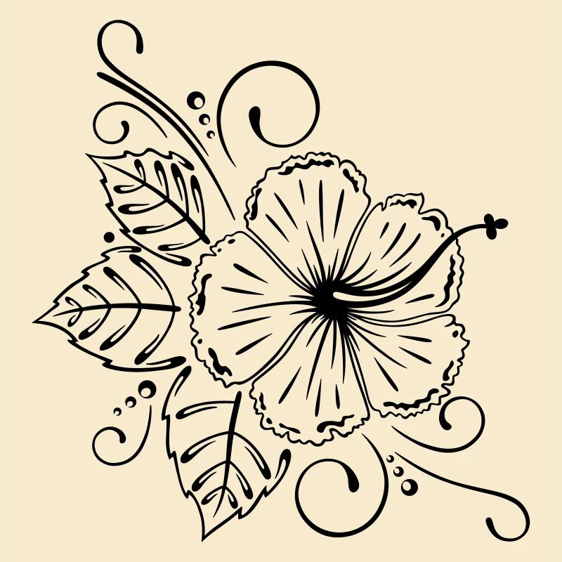 Hibiscus, hibiscus, fleur, fleurs