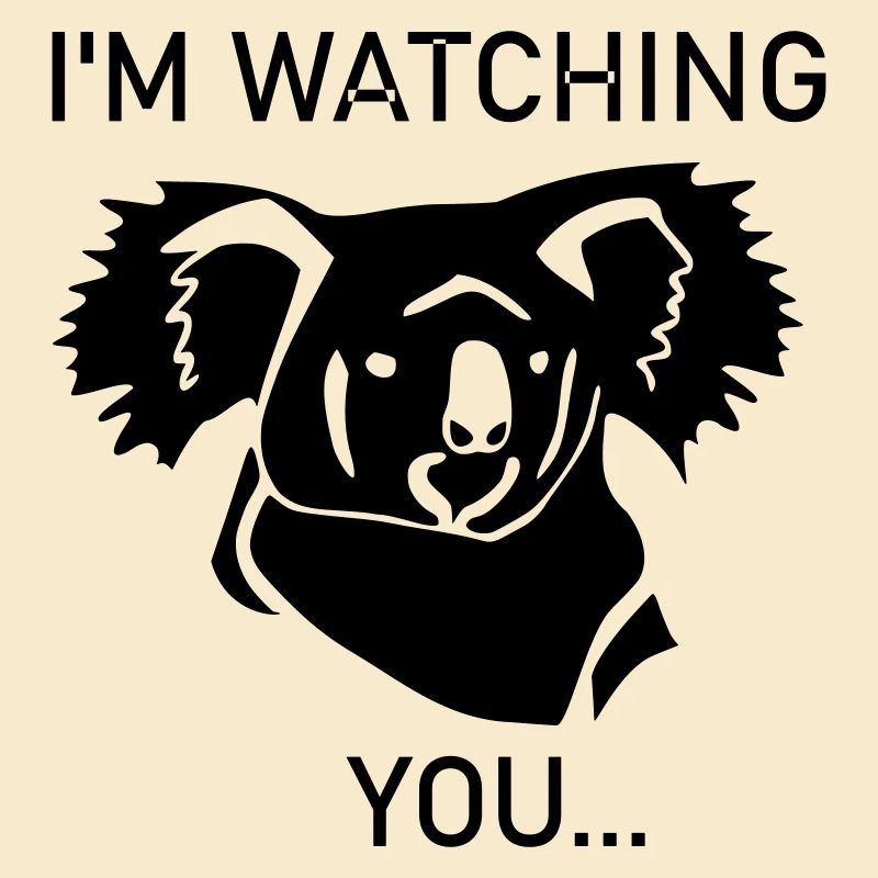Koala is watching you