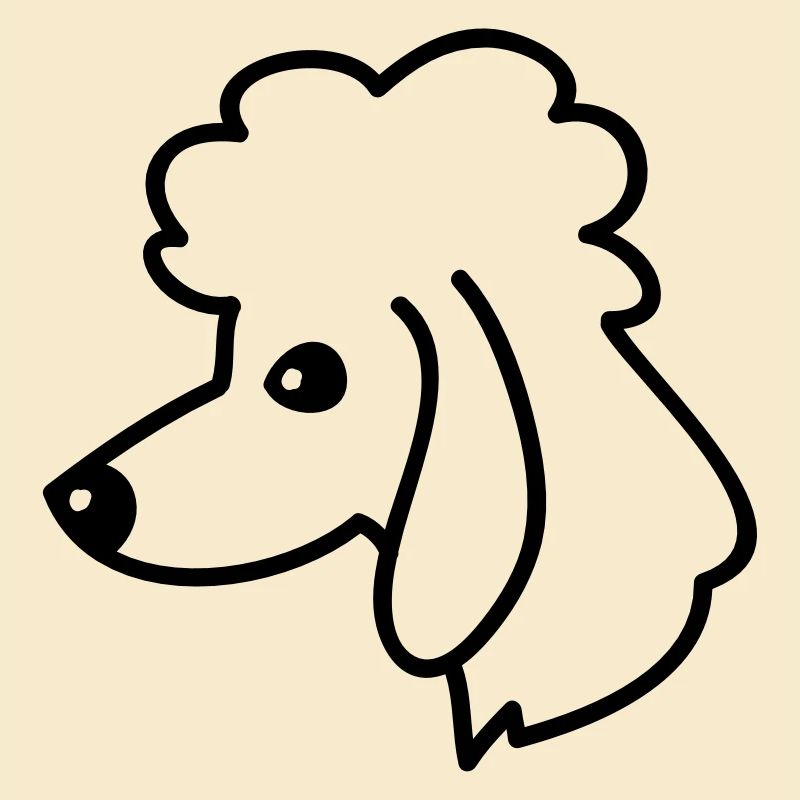 Portrait de caniche
