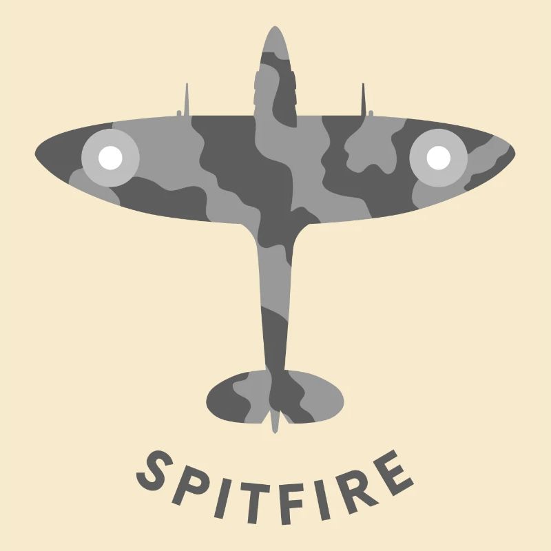 Avion de chasse de Spitfire