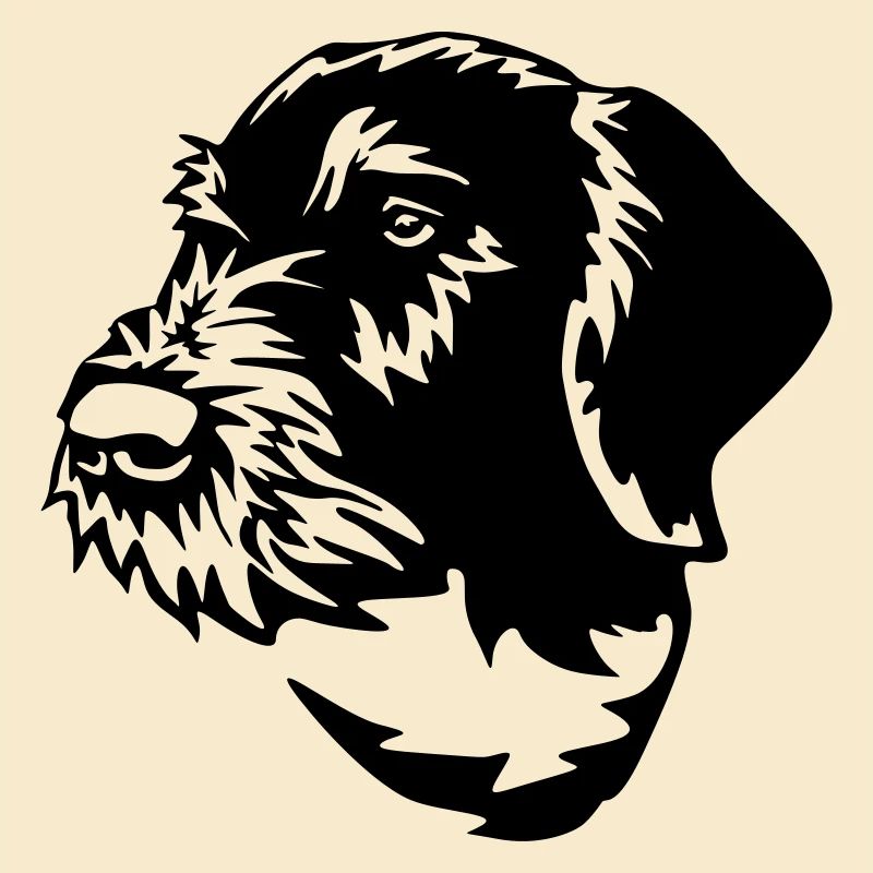 German Wirehaired Pointer