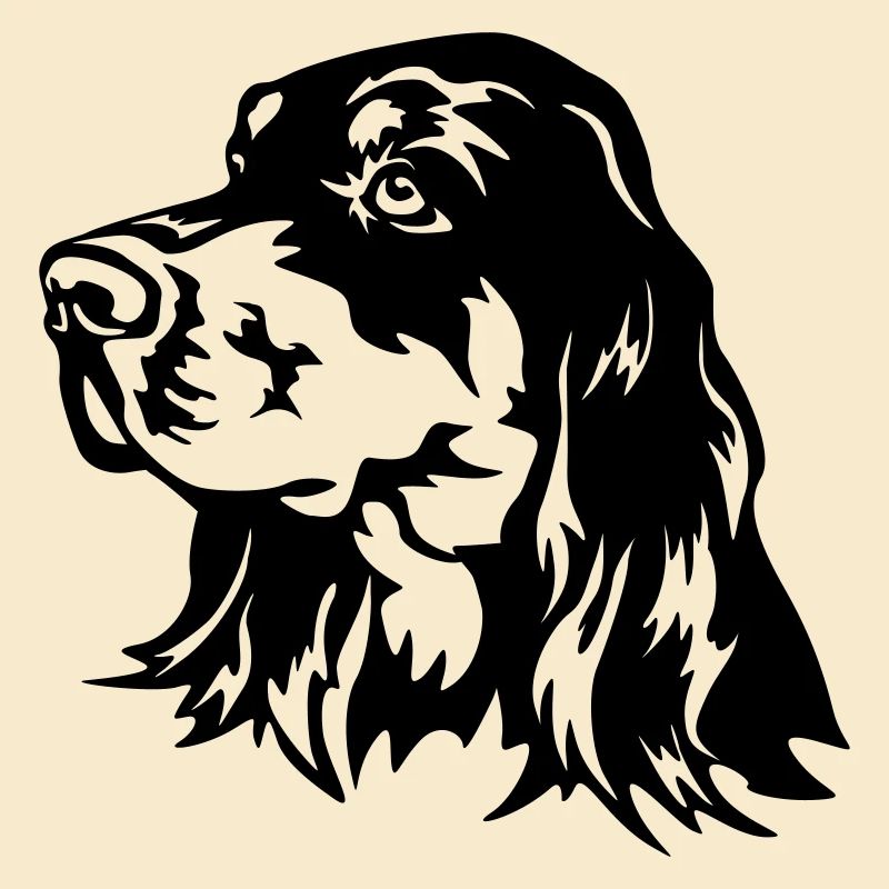Gordon Setter Tête