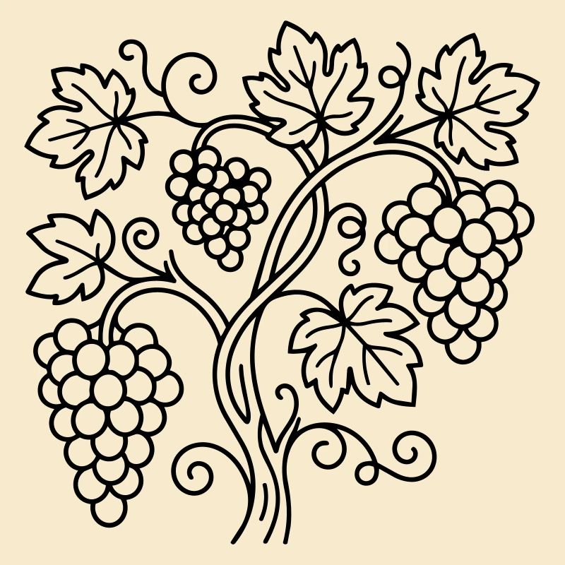 vineyard