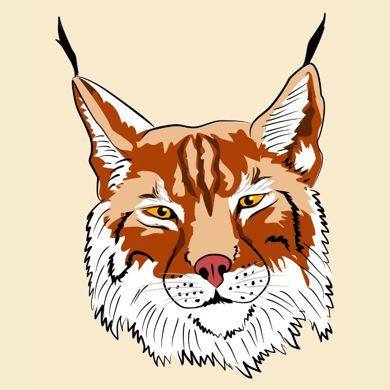 lynx