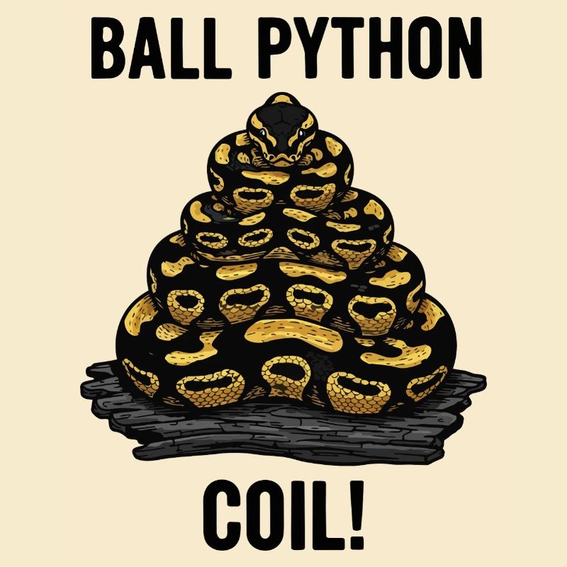 Python Royal Ball Python Coil Reptile Pyramide