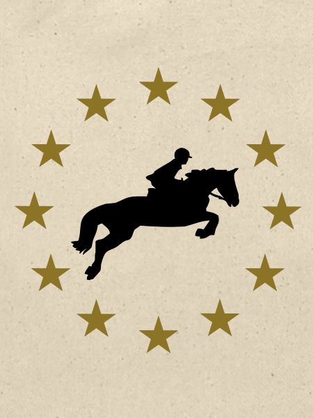 Springen Pferd & Sternen