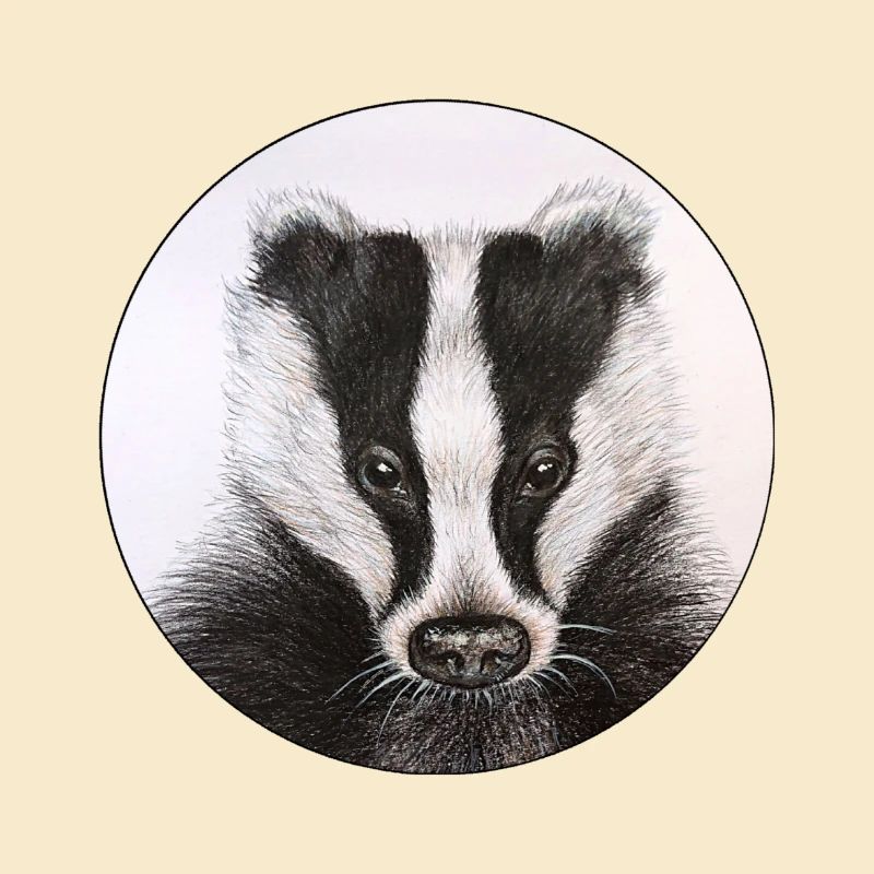 Dachs /Badger