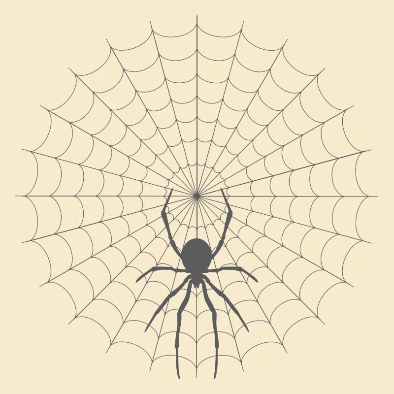 Spider Web Silhouette