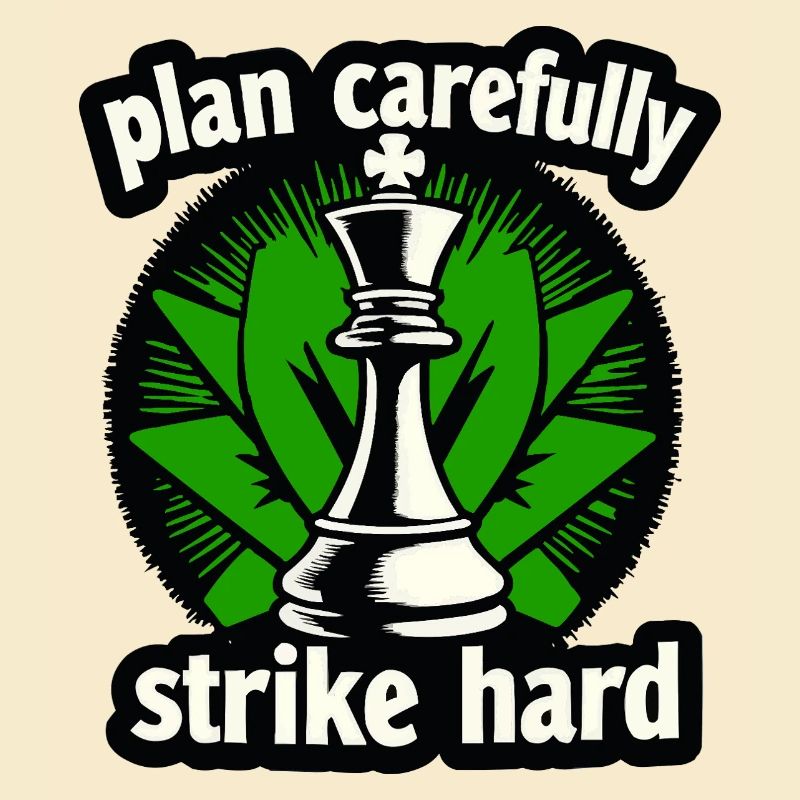 Schach plan carefully strike hard