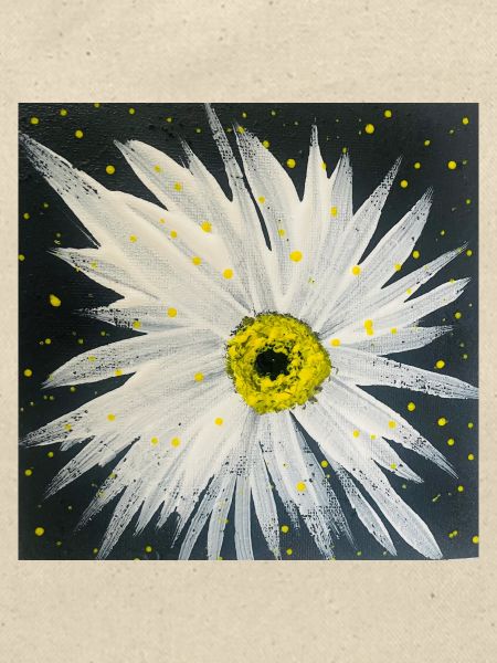 Edelweiss-black-white design