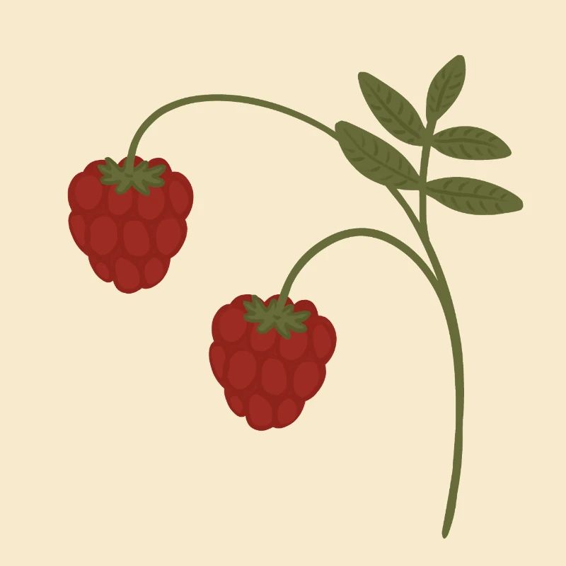 Himbeeren