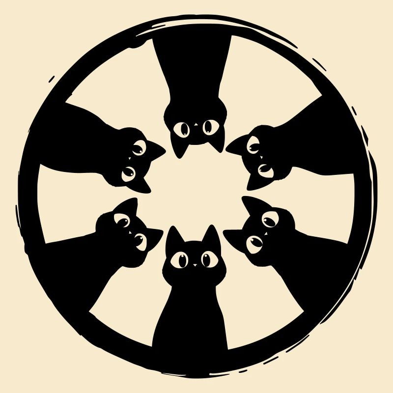 Cats circle view from above