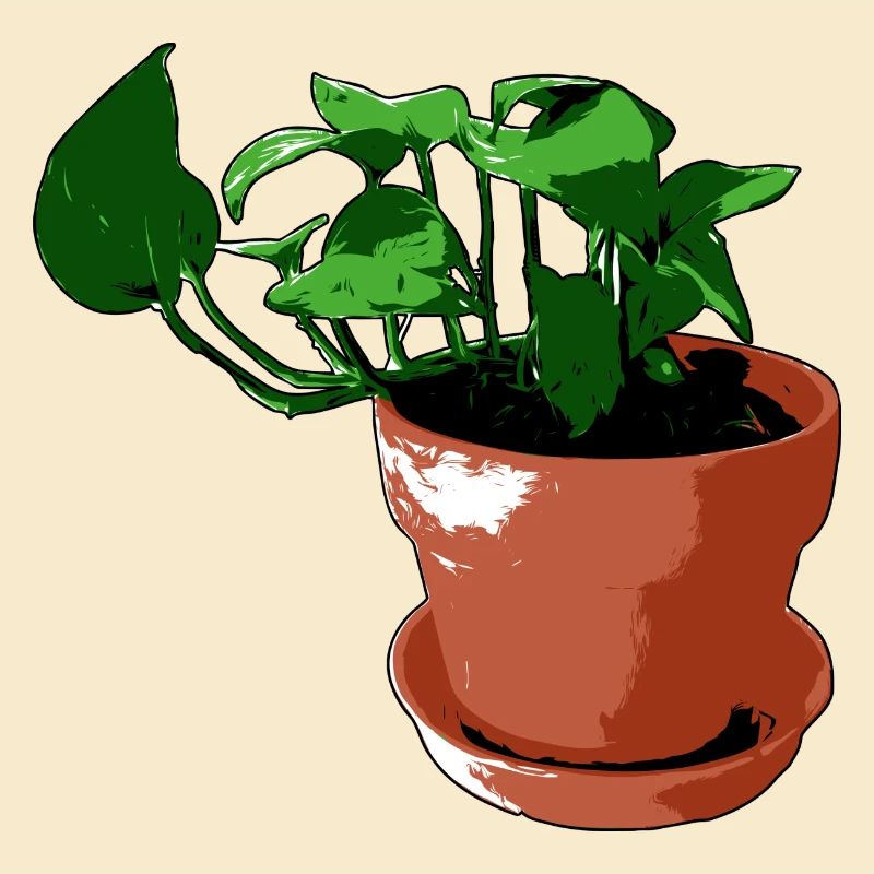 plant