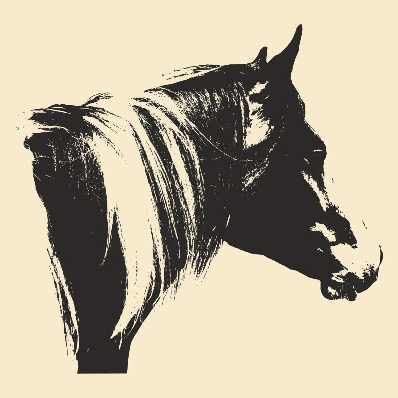 Lewitzer Schecke, Pferd Schecke, Pinto