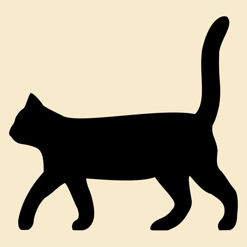 Chat noir