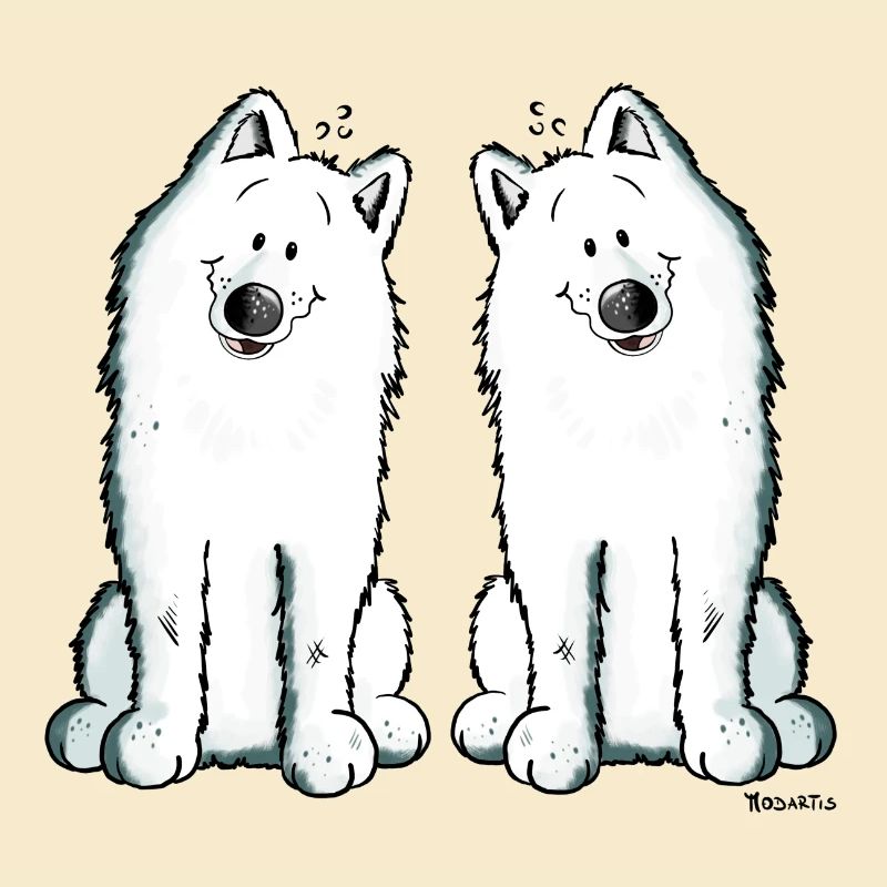 Samoyed Team - Samoyède