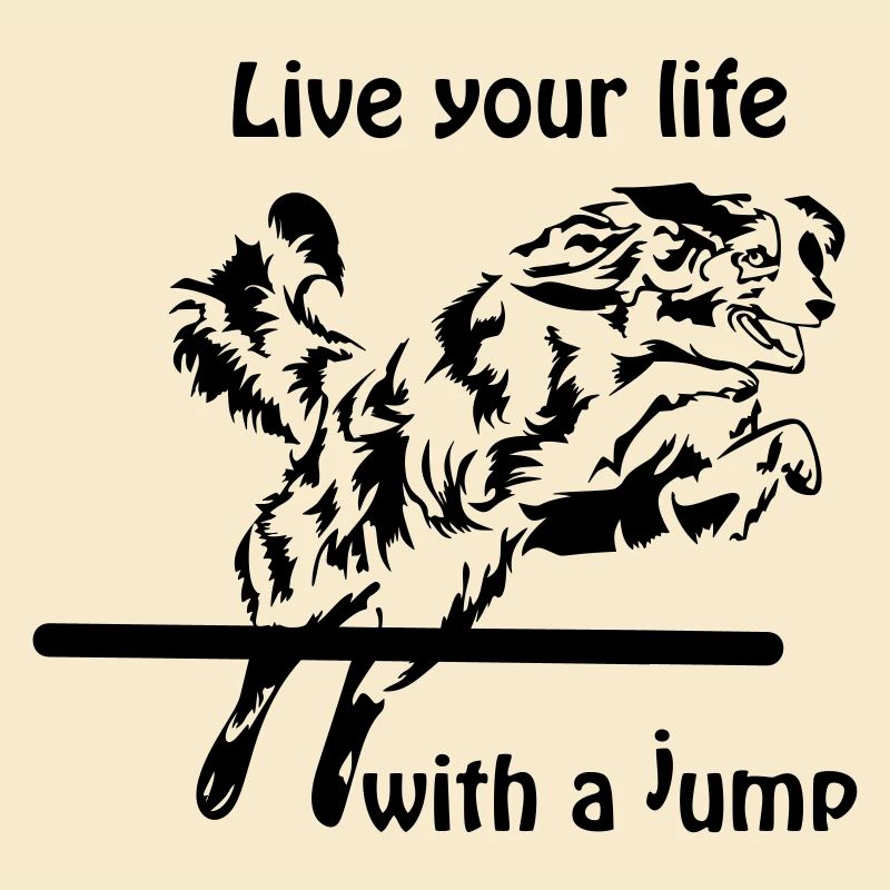 Agility Australian Shepherd Aussie