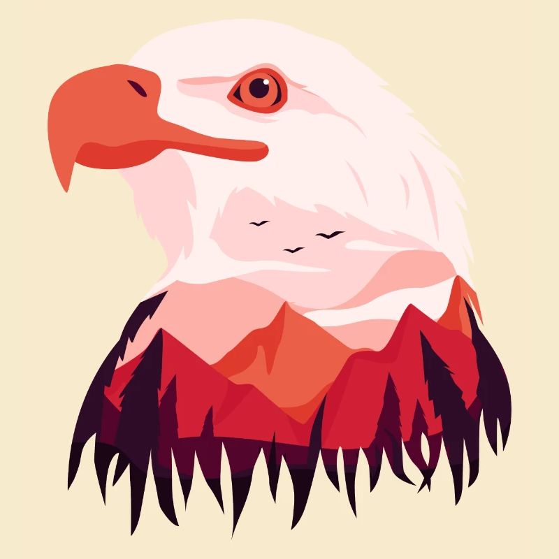 Eagle Bald Eagle