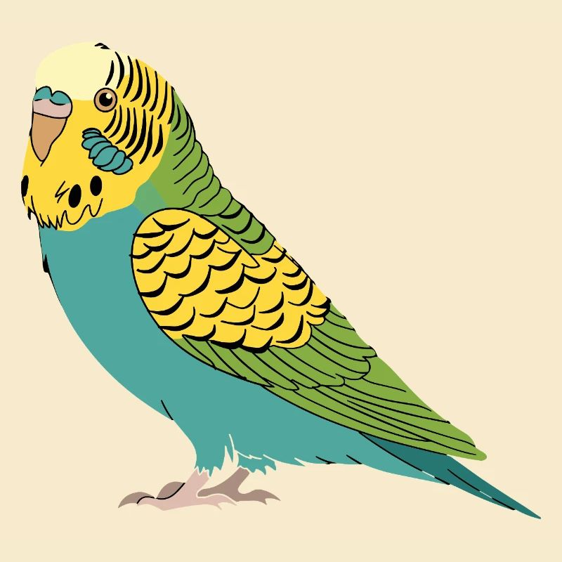 Perruche perruche turquoise vert jaune