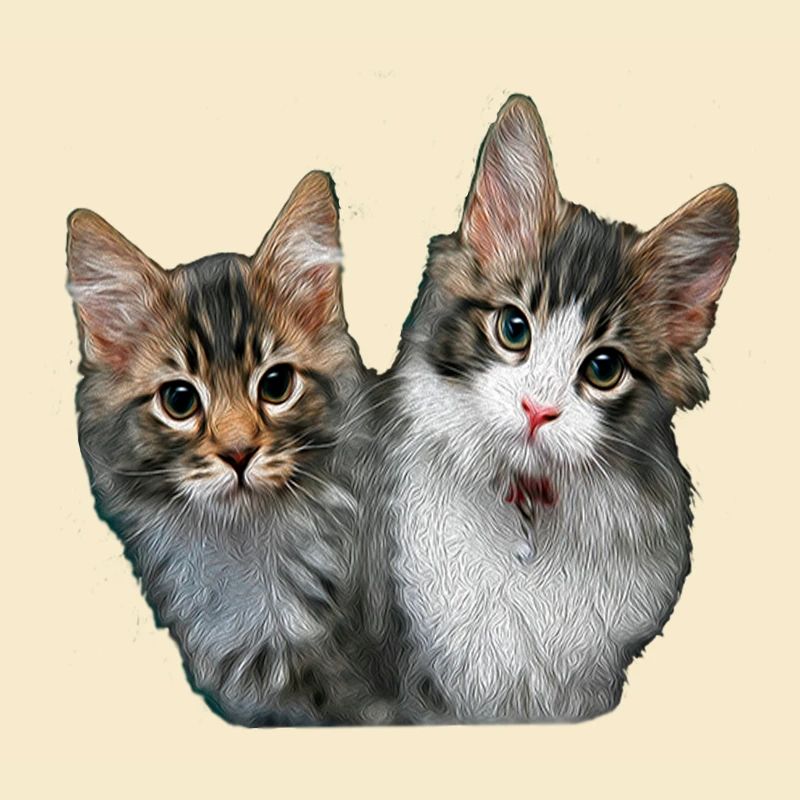 Chatons