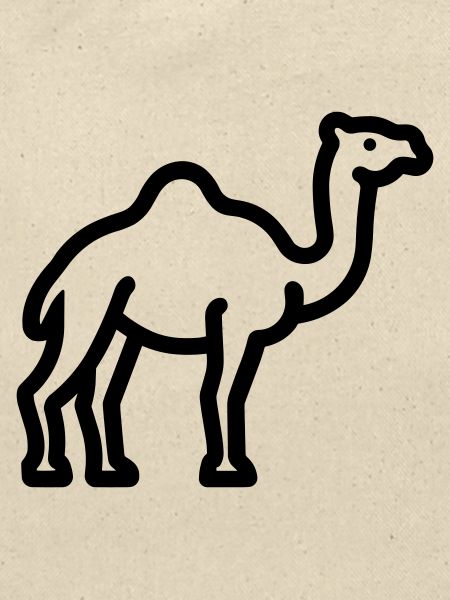 Kamel