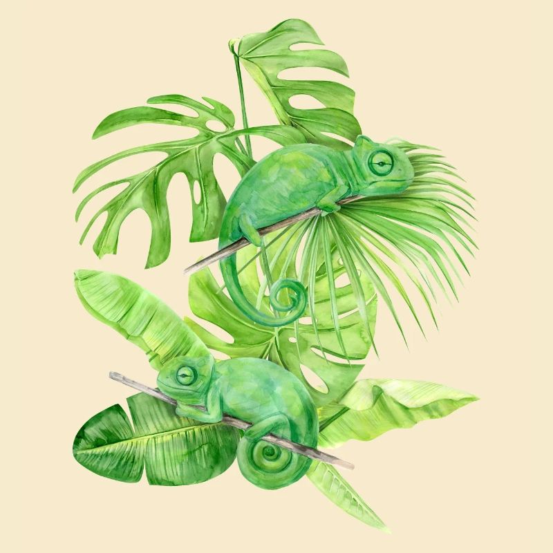 Chameleon, green chameleon lizards