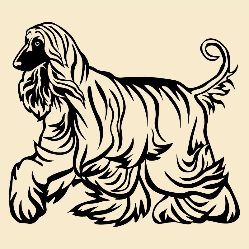 Afghan
