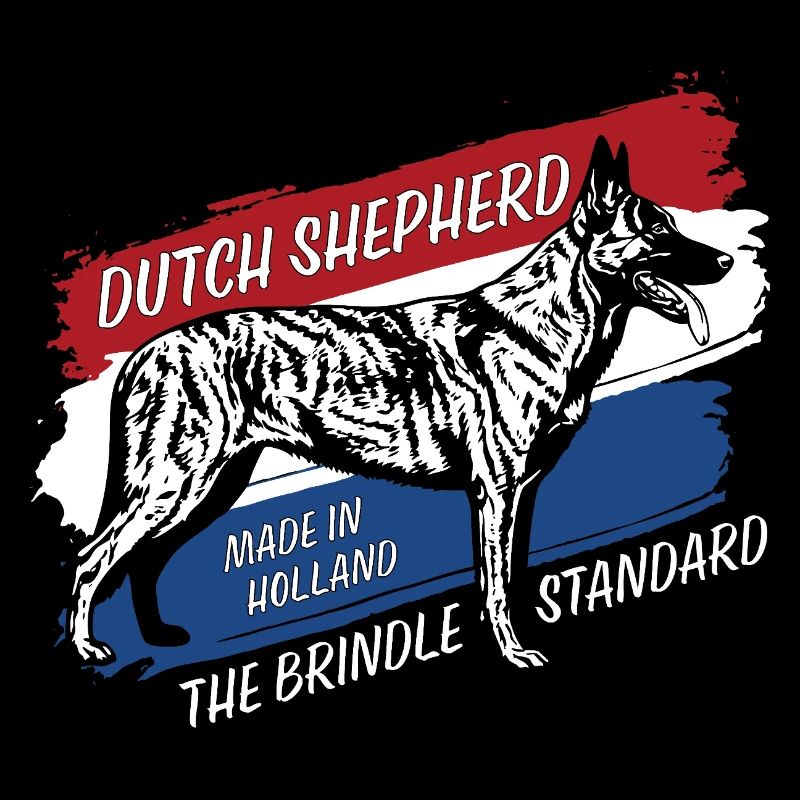 Dutch Shepherd – Dutchie