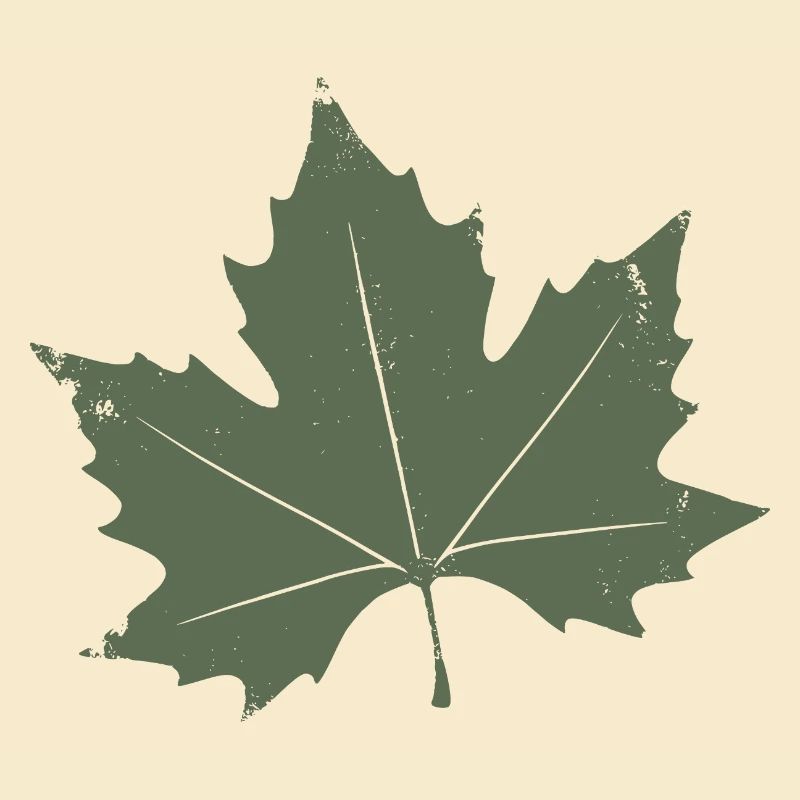 Feuille d’érable verte