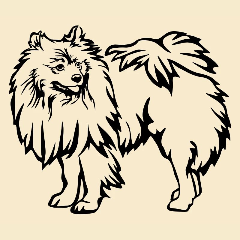 Spitz
