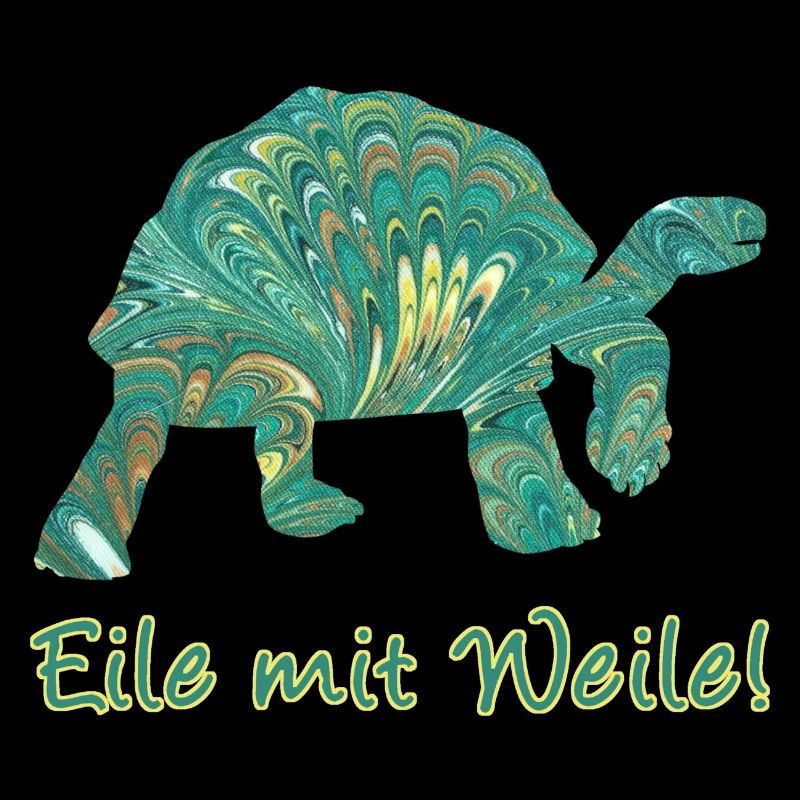 Tortue E 71
