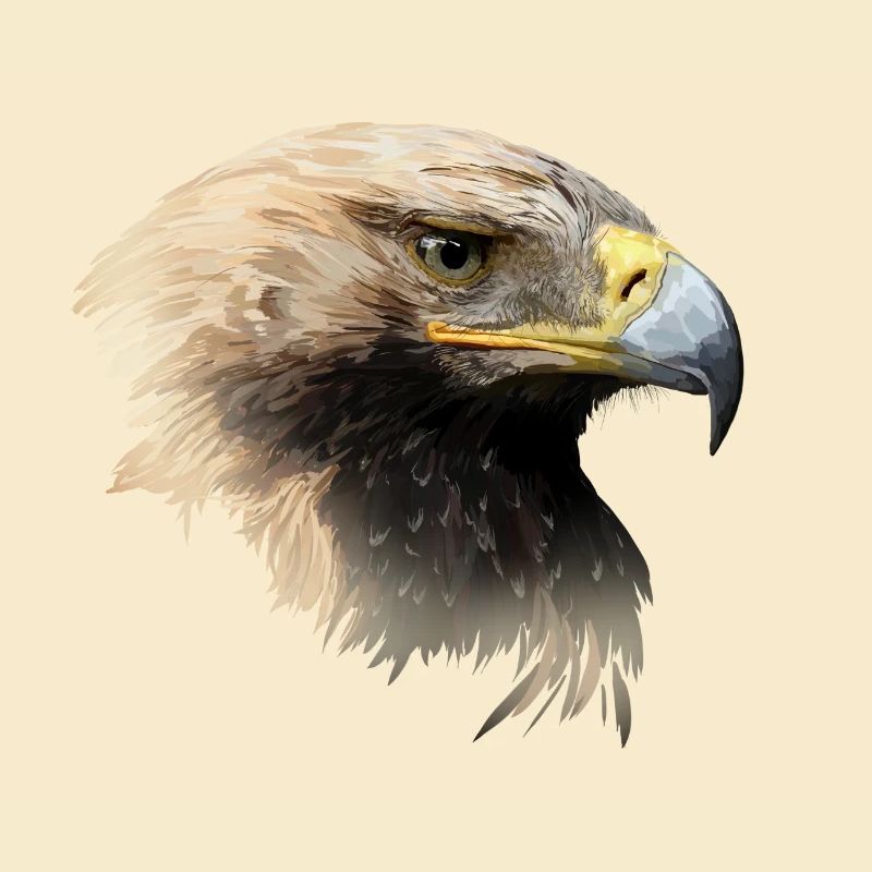 aigle