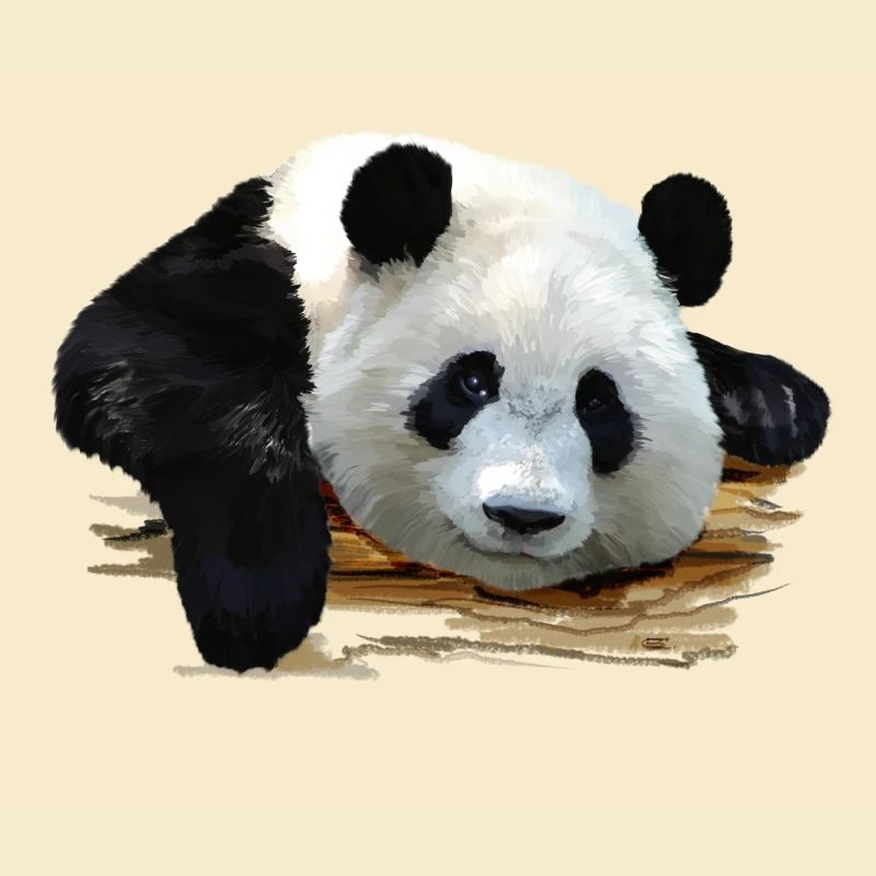 panda