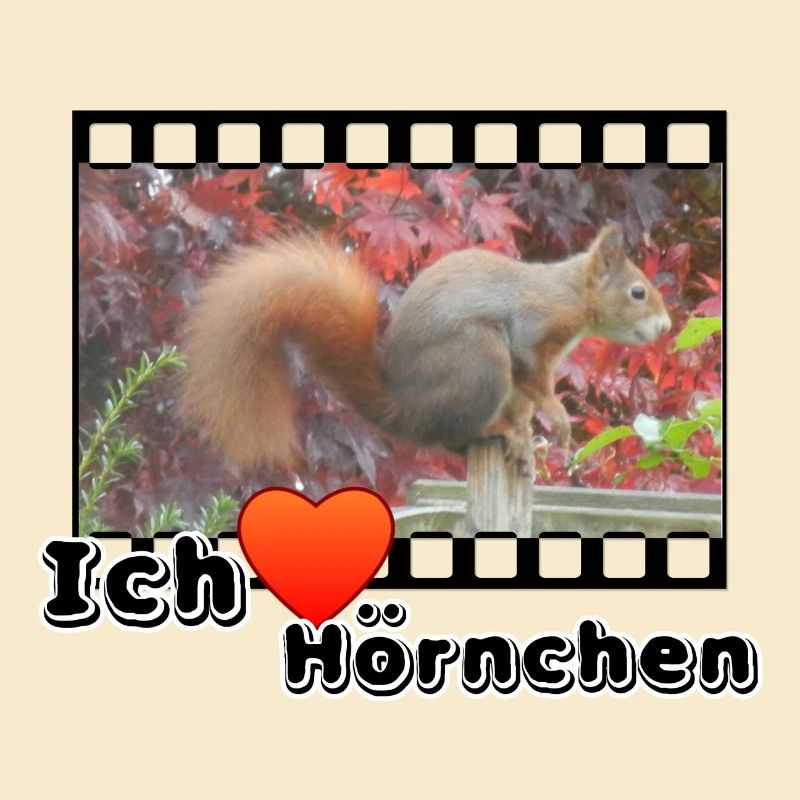 Liebe Tierfreund Eichhoernchen Tiere Spruch