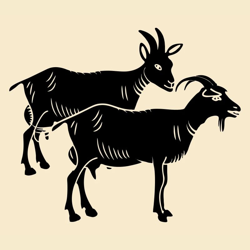 Image de deux ombres de chèvre