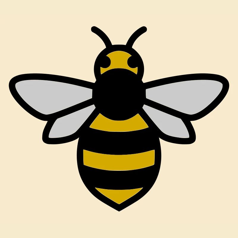 Bee Insect Cartoon