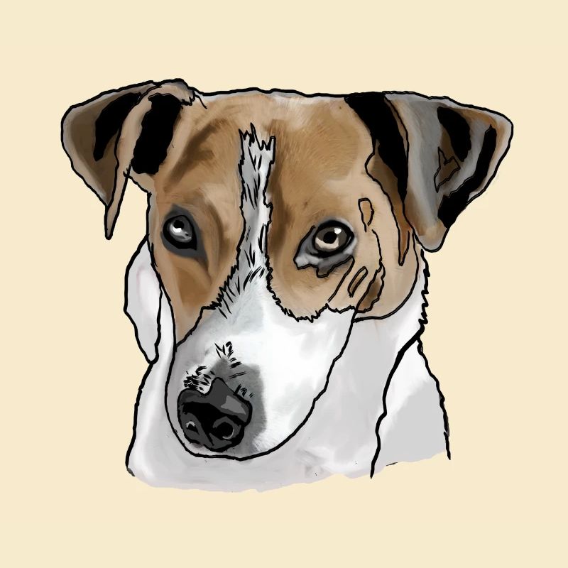 Jack Russel Terrier
