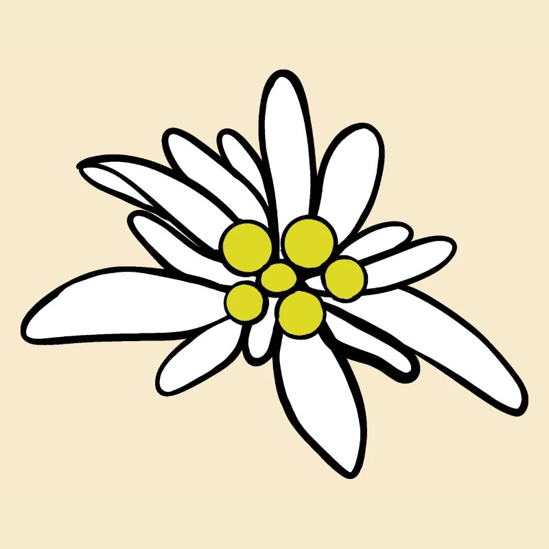 Edelweiß 1