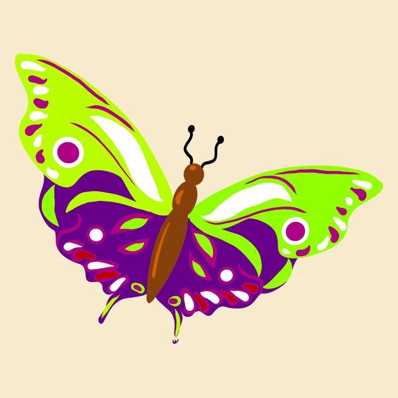 Illustration de papillon multicolore
