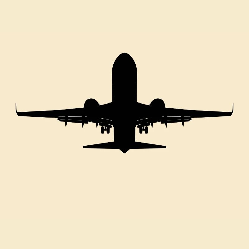 Airplane