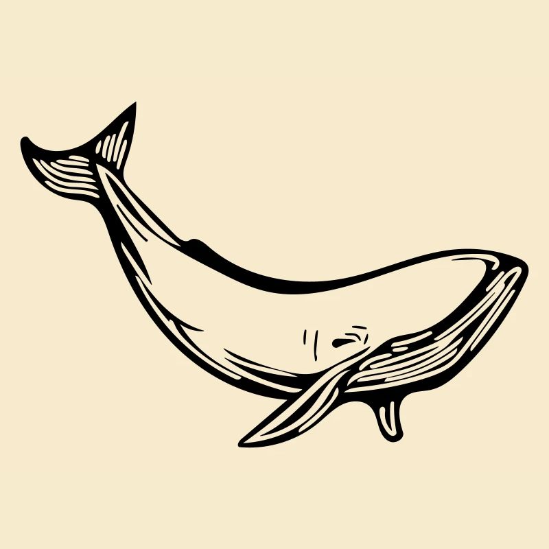 whale