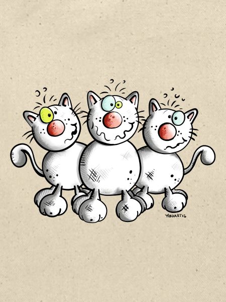 Funny Cats